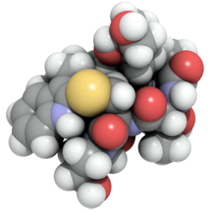 Phaloidin, 3D structure, Logo image